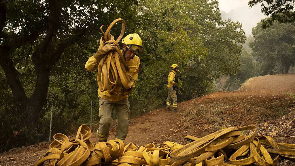 Ein Feuerwehrmann legt Schläuche zusammen, während sie daran arbeiten, das Feuer zu löschen. Der Waldbrand auf Teneriffa hält auch am vierten Tag die beliebte Urlaubsinsel in Atem. Erneut müssen Hunderte Menschen ihre von den Flammen bedrohten Häuser verlassen. Foto: Arturo Rodriguez/AP/dpa