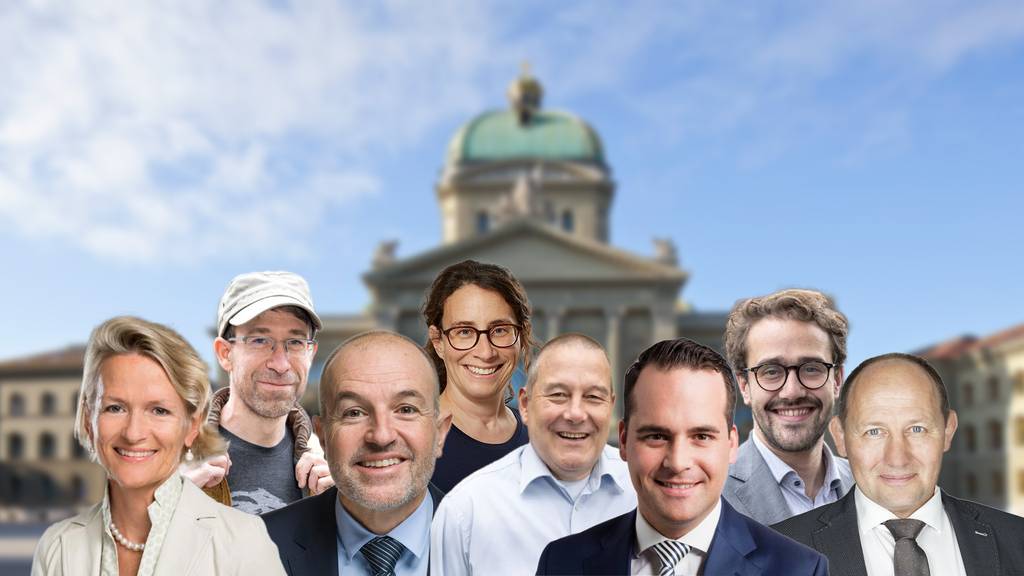 Kandidaten Kanton Luzern Ständeratswahlen