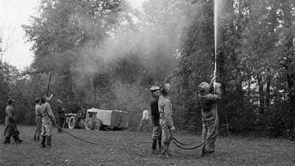1951 werden im Kanton Thurgau neben Sprühflugzeugen auch Motorspritzen zur Bekämpfung der Maikäferplage mit dem Spritzmittel Gesarol eingesetzt. (Archivbild)