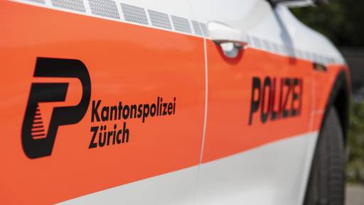 Kantonspolizei Zürich fasst jugendliche Unfallverursacher