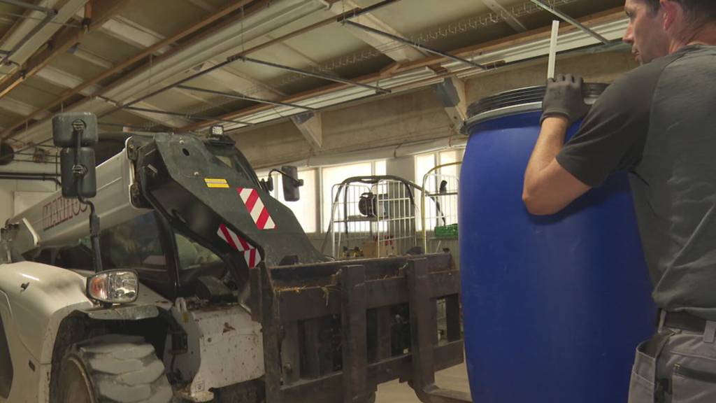 Shrimps im Stall: Thurgauer Bauernfamilie setzt auf exotische Wassertiere