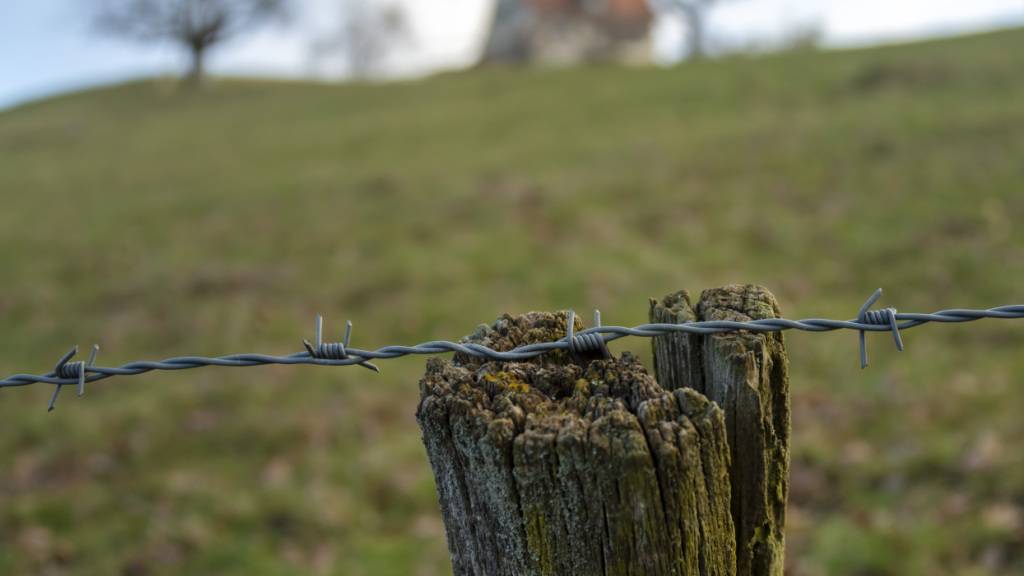 Der Kanton Thurgau verbietet Stacheldrähte zur Umzäunung von Weiden. (Archivbild)