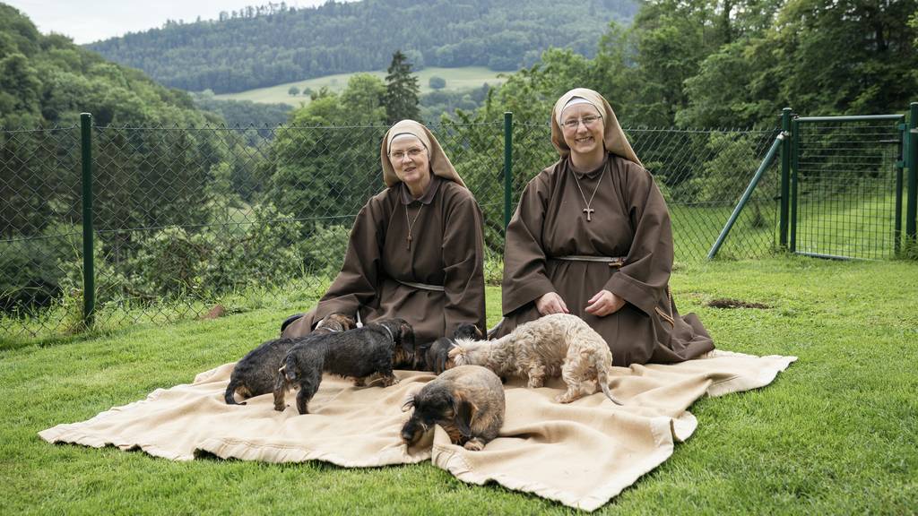 Nonnen in Erlinsbach züchten herzige Dackel