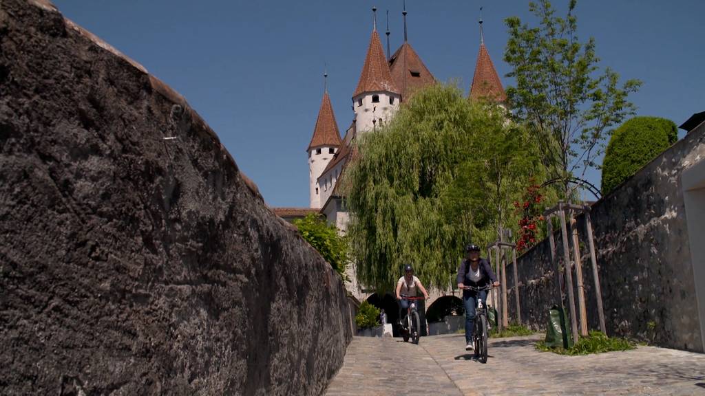 Schloss-Tour am Thunersee / e-FRAMER / Komplexe Verwaltungsaufgaben