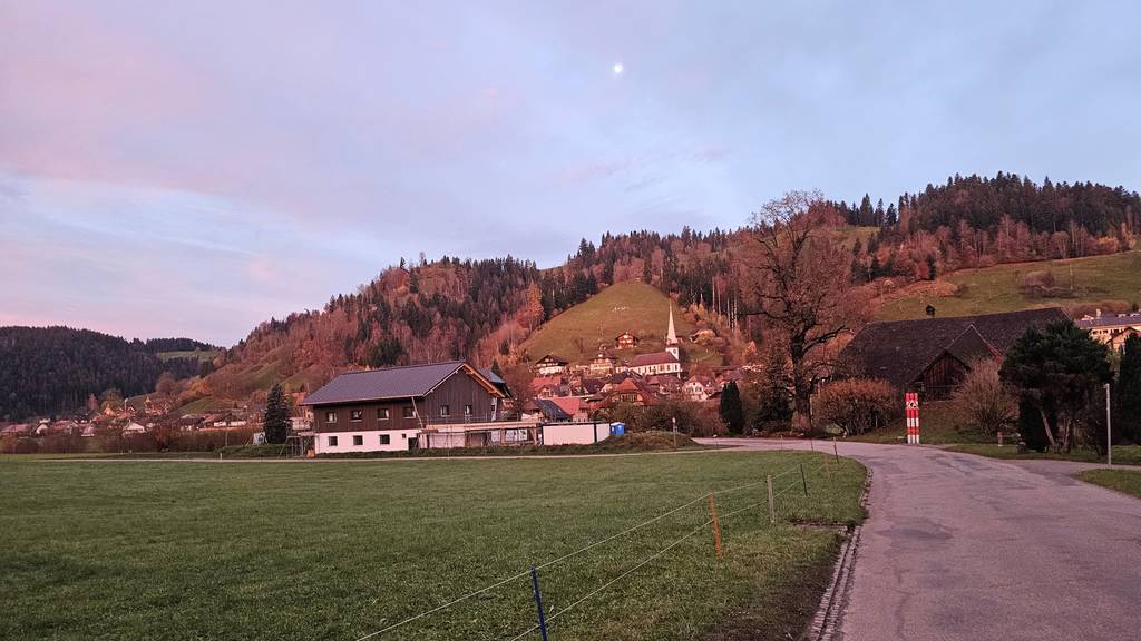 08_Signau