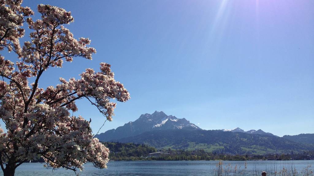 Der Frühling kommt!