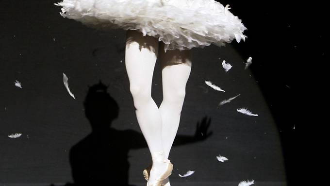 Schweizer Jugend erforscht Ballerina-Beine und Fliegenfallen