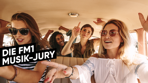 Bestimme die Hits bei FM1