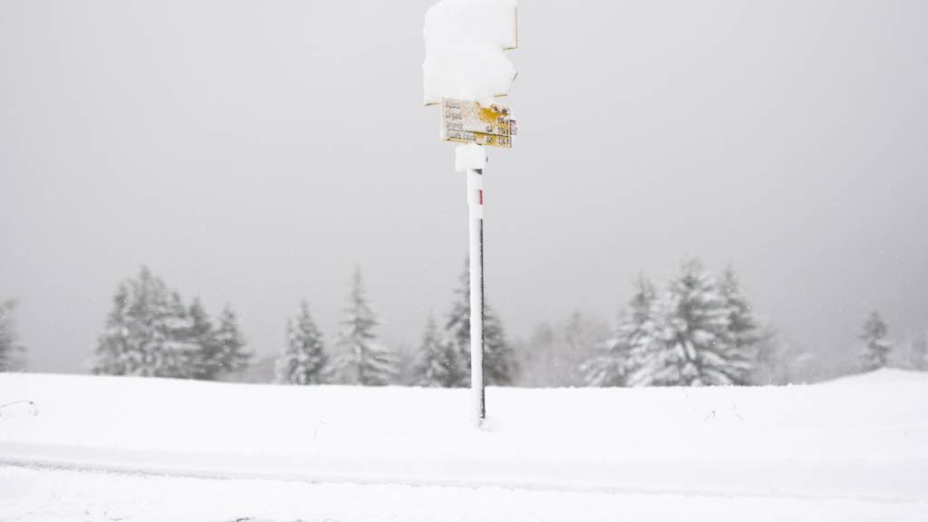 Meteoschweiz erwartet zwischen Samstag und Sonntagmorgen in den zentralen Alpen und auf dem angrenzenden Alpennordhang, auf der Alpensüdseite sowie im Oberwallis starke Schneefälle. (Themenbild)