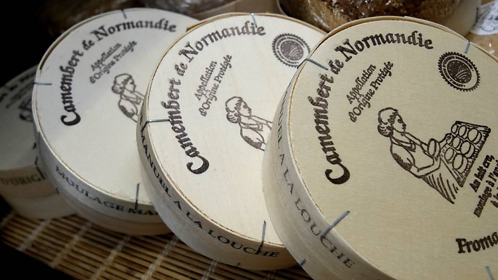 Forschende warnen vor Ende von Camembert-Pilz