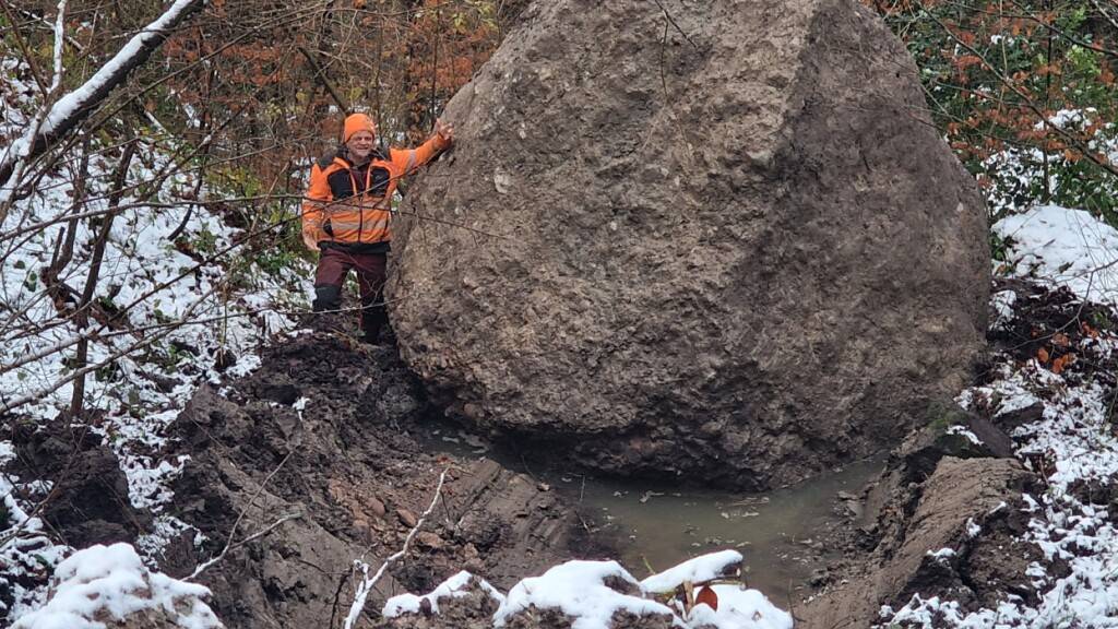 Der Nagelfluhblock hat ein beachtliches Ausmass.