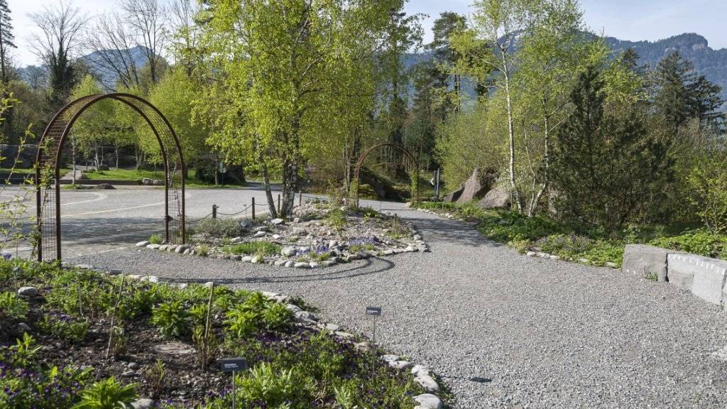 Am Mittwoch wurde im Natur- und Tierpark Goldau eine neue Gartenanlage eröffnet. Diese zählt über 50 einheimische Heilpflanzen.