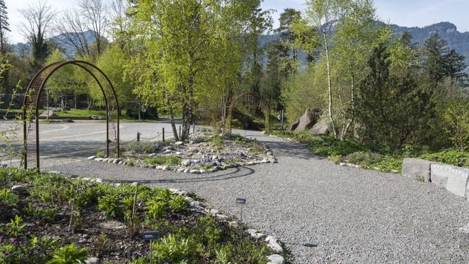 Tierpark Goldau hat neu einen Heilpflanzengarten