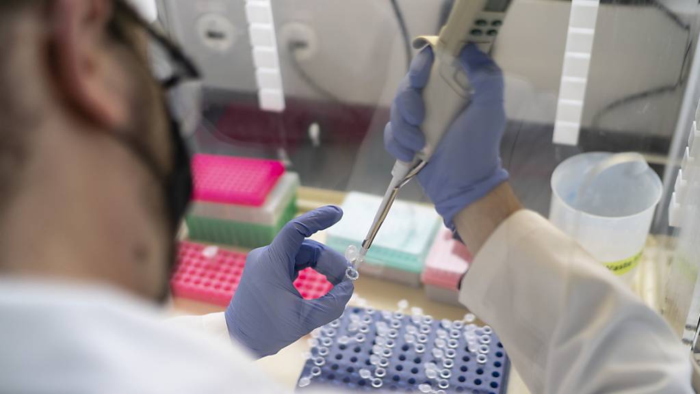 Ein Labormitarbeiter bereitet Abwasserproben auf, damit später darin nach Erbmaterial des Coronavirus gesucht werden kann. (Archivbild)