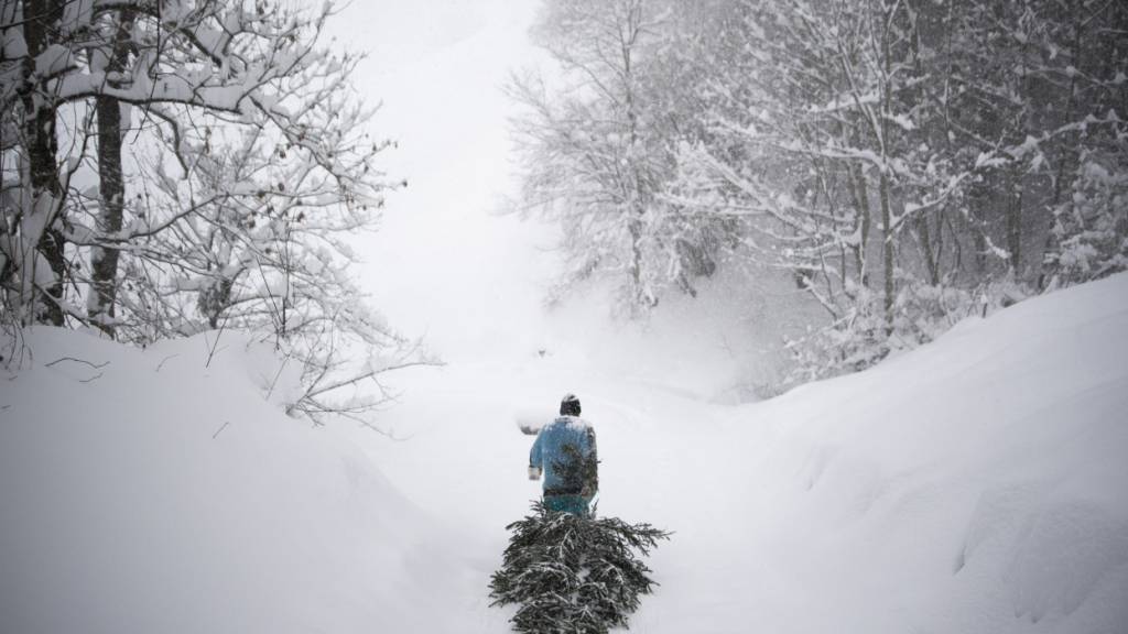 Mit Schnee wird es wohl nichts an Weihnachten - zumindest im Flachland. (Archivbild)