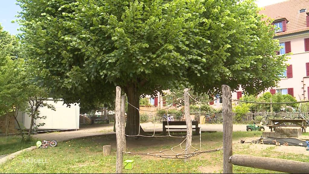 11-Jähriger fällt auf Spielplatz in Solothurn von Baum