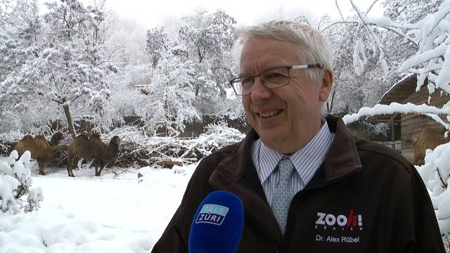 Alex Rübel gibt 2020 das Zoo-Zepter ab