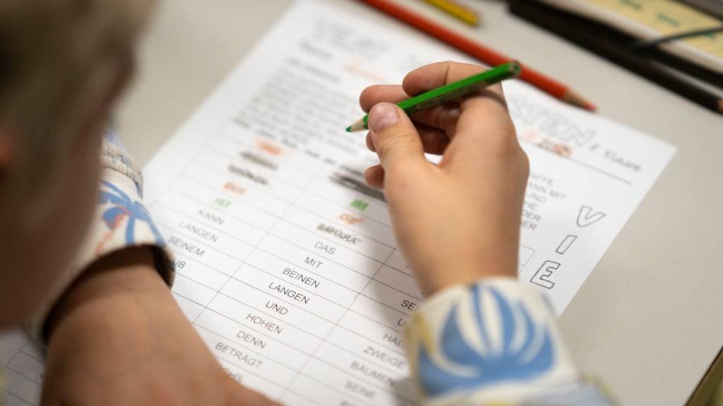 Im Kanton Zug soll es im Hinblick auf einen Eintritt in die Kantonsschule einheitliche Tests geben (Symbolbild aus einer Basler Primarschule)
