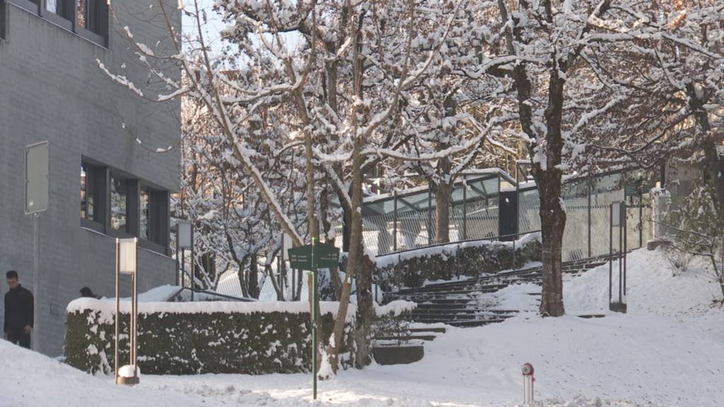 Universität St.Gallen kämpft mit Plagiatsskandal