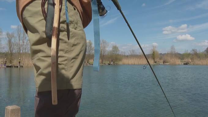 Frischer Fisch: Besondere Aktion zum Karfreitag im Thurgau
