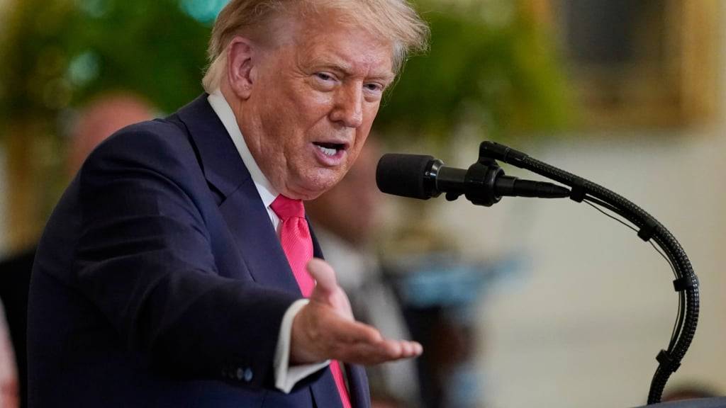 US-Präsident Donald Trump spricht im East Room des Weißen Hauses in Washington auf einer Veranstaltung zur Vorstellung seiner innenpolitischen und haushaltspolitischen Agenda. Foto: Jose Luis Magana/AP/dpa
