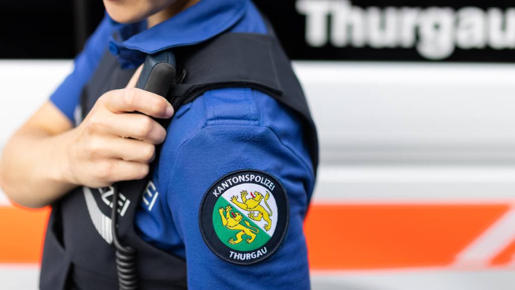 Autofahrer kracht in Egnach TG in parkierte Fahrzeuge