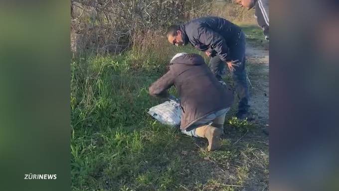 Verwahrloste Strassenhunde in Italien: Zürcher Paar päppelt sie auf