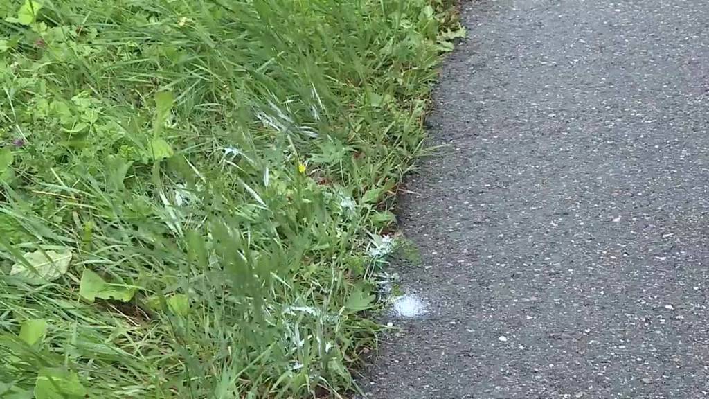 Tödlicher Unfall Metzerlen