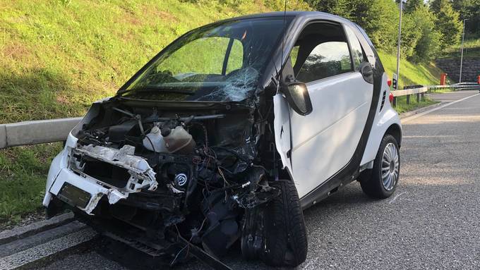 Spinne im Auto: 27-Jährige verliert Kontrolle und verursacht Crash