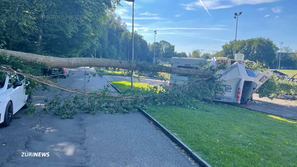 Versicherung will Baumschäden an Auto nicht bezahlen