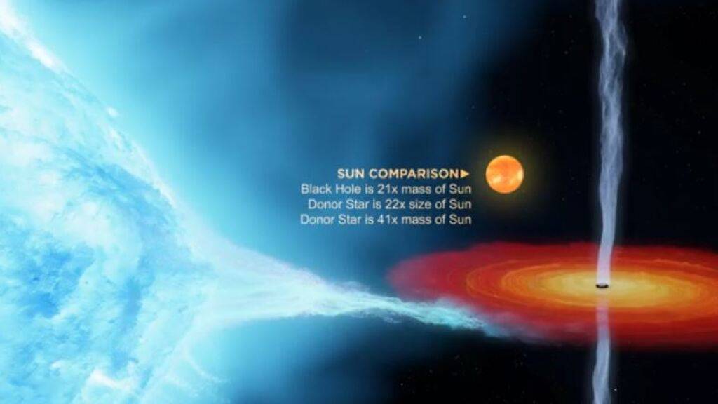 Das 1972 entdeckte Schwarze Loch Cygnus X-1 hat eine um 50 Prozent höhere Masse als bisher angenommen. Daraus schliessen Forscher, dass helle Sterne, bevor sie zur Supernova werden, weniger Masse verlieren als man bisher dachte. (Pressebild ICRAR)