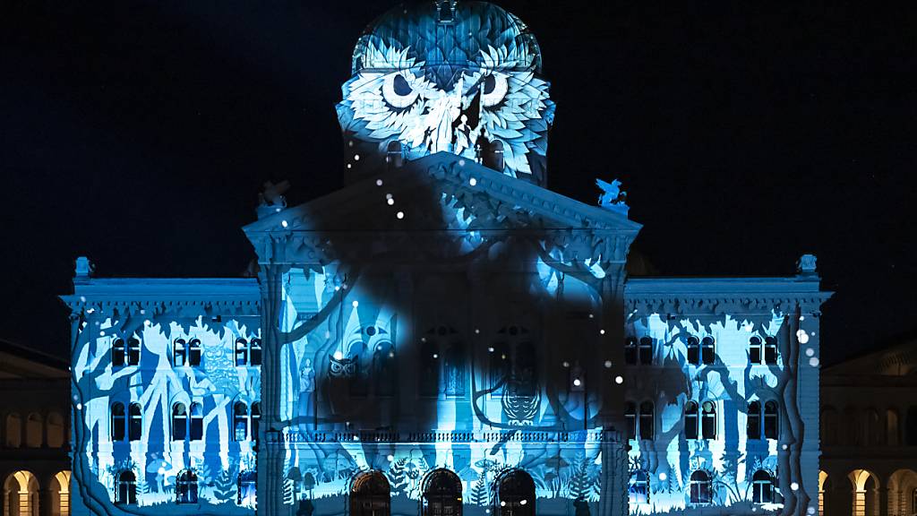 Einheimische Vögel sind die Stars der diesjährigen Berner Lichtshow