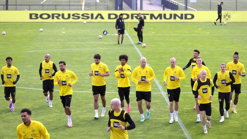 BVB Training