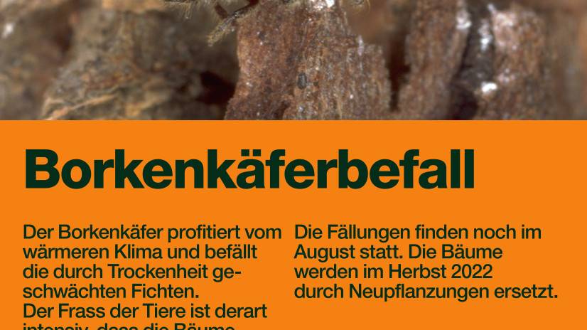 2_Flyer_GSZ_borkenkaefer-faellung_FH-Sihlfeld