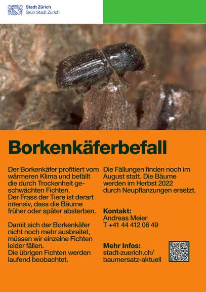 2_Flyer_GSZ_borkenkaefer-faellung_FH-Sihlfeld