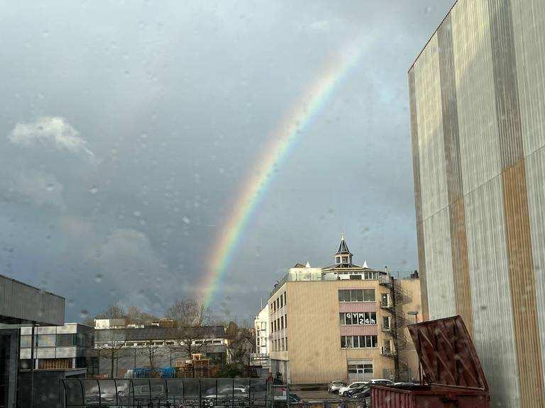 Regenbogen Aarau