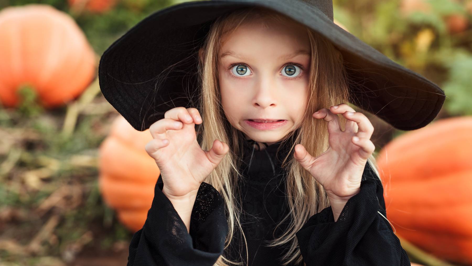 An Halloween fürchten sich nicht nur die Kinder