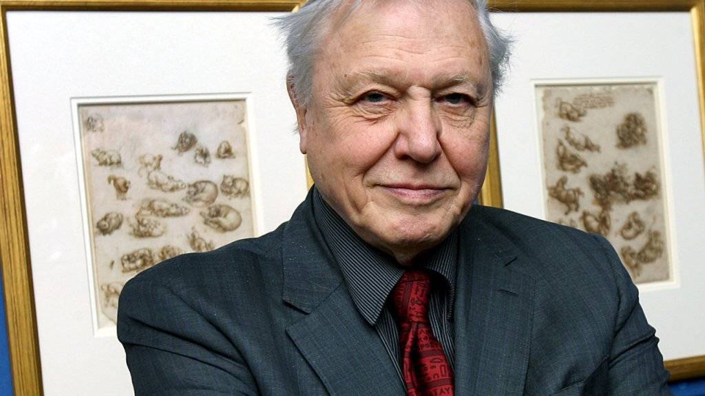 Der legendäre Naturforscher David Attenborough in einer Aufnahme von März 2008: Der Brite gibt nun auch einer australischen Schnecke seinen Namen. (Archivbild)