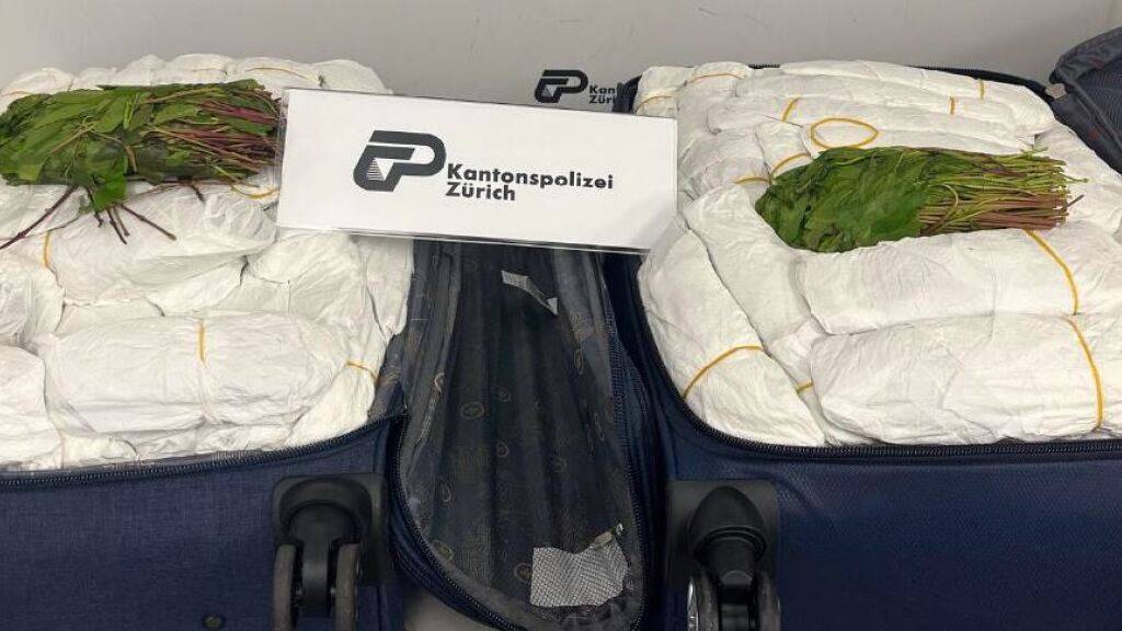 Polizei findet am Flughafen 40 Kilogramm Khat in Reisekoffern