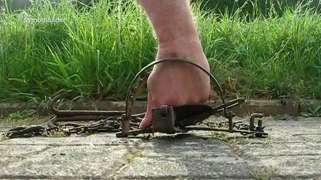 Tödliche Falle für Igel