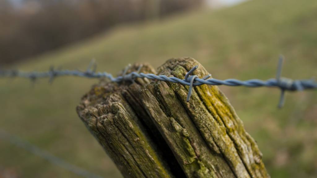 Im Kanton St. Gallen gibt es weiterhin zu viele Stacheldrahtzäune