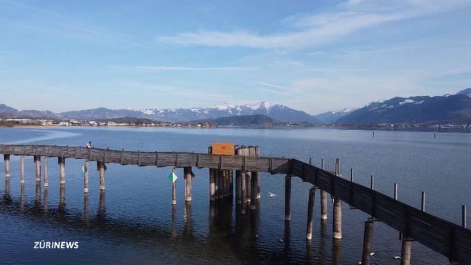 Aggressiver Pilz: Holzsteg in Rapperswil-Jona steht kurz vor seinem Lebensende