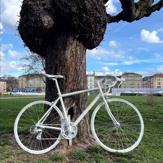 Ghost Bike erinnert an Critical Mass in Altstetten an toten Velofahrer