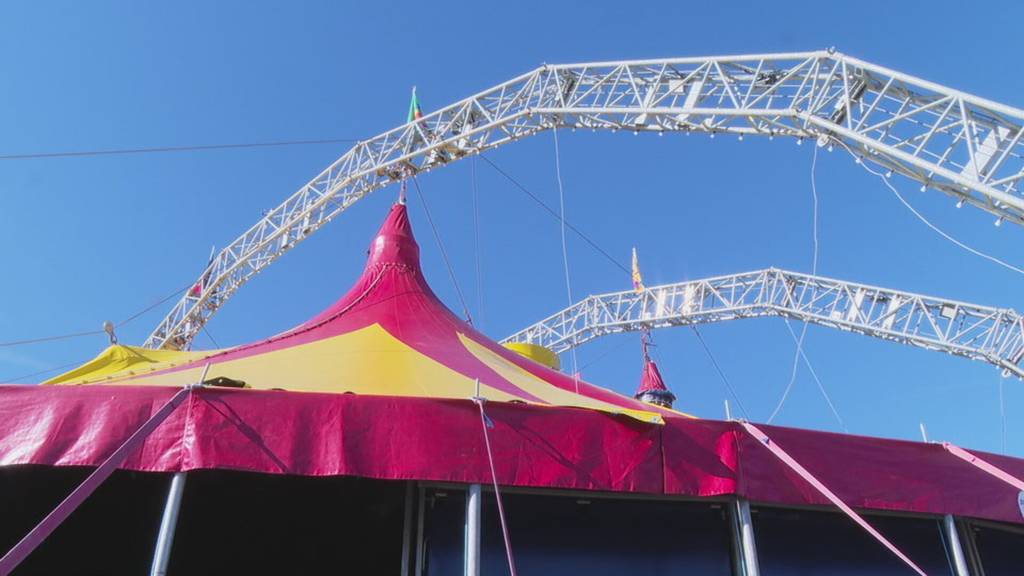 So ist das Leben als Koch im Zirkus