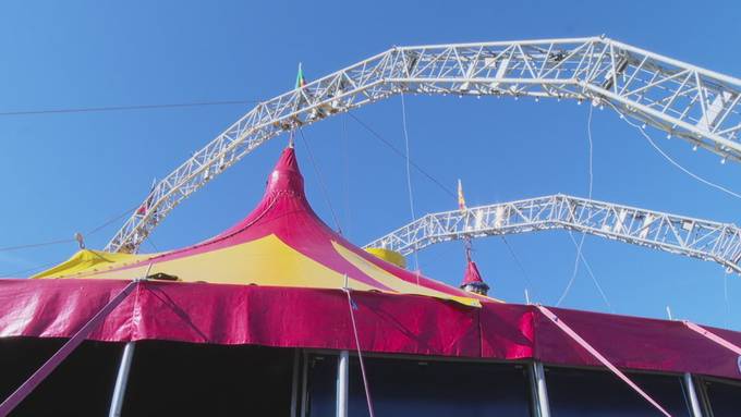 So ist das Leben als Koch im Zirkus