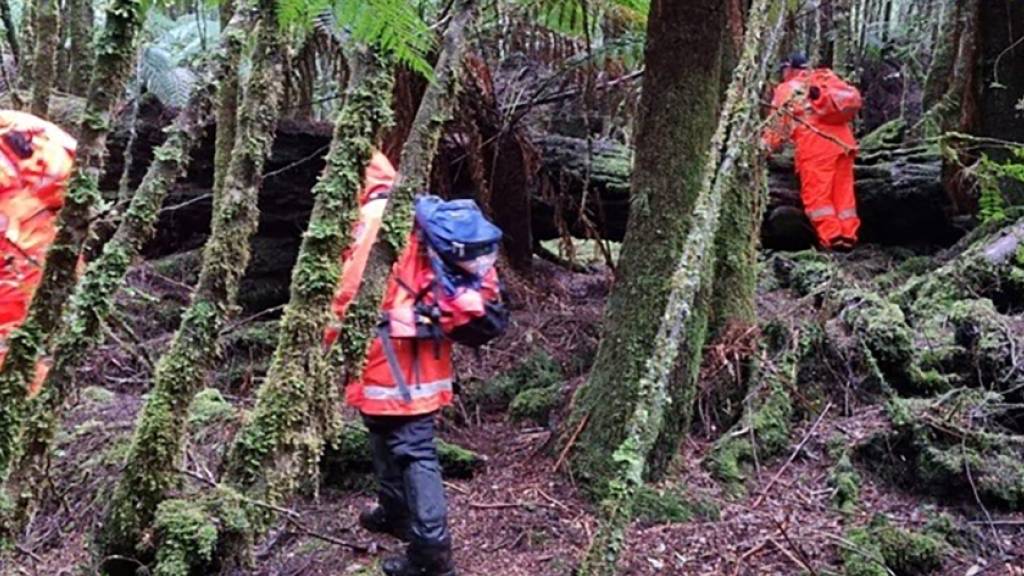 A supplied image obtained on Friday, June 30, 2023, of SES team members during search efforts for missing Belgian tourist Celine Cremer at Philosopher Falls near Waratah in northwest Tasmania. (AAP Image/Supplied by Tasmania Police) NO ARCHIVING, EDITORIAL USE ONLY