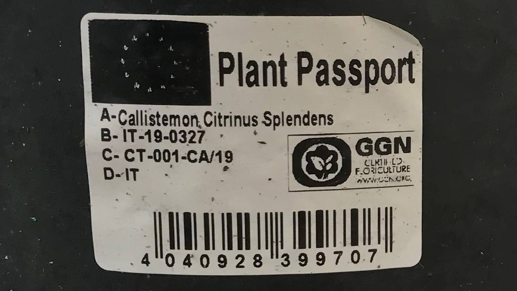 Wer einen Topf mit diesem Pflanzenpass besitzt, soll sich umgehend beim Eidgenössischen Pflanzenschutzdienst melden.