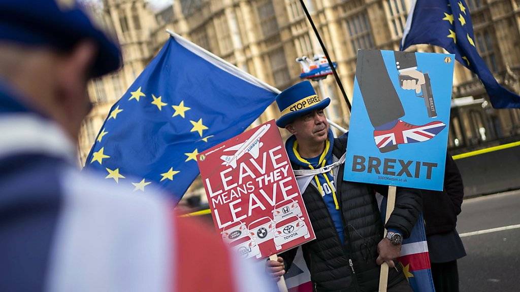 Während die britische Premierministerin Theresa May am Dienstag im Londoner Unterhaus eine Rede zum Brexit-Abkommen hielt, demonstrierten EU-Befürworter vor dem Parlament für einen Verblieb Grossbritanniens in der EU.
