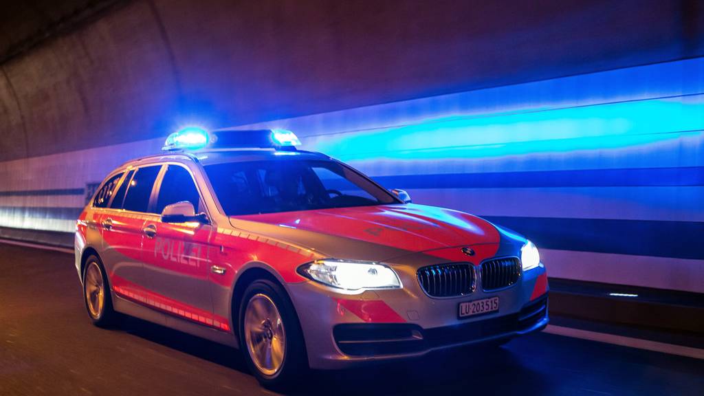 Luzerner Polizei im Einsatz (Symbolbild)
