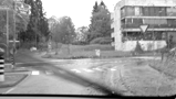 Auto im Gebüsch